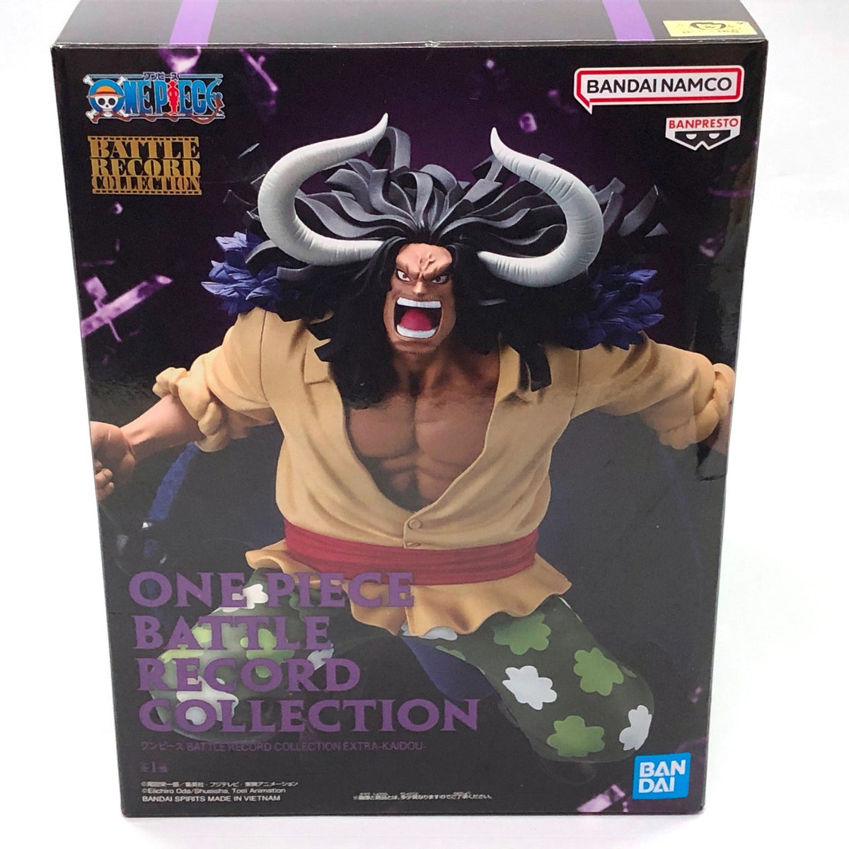 Battle Record Collection Extra Kaidou